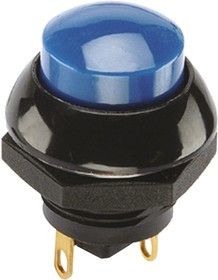 P9-613126W, Push Button Switch, Momentary, Panel Mount, SPDT, 25V dc, IP68S
