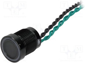 PS165P10Y21G12V, Переключатель: пьезоэлектрический, Пол: 2, SPST-NO, 0,2A/24ВAC