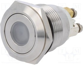 V19-10FD-12B-S, Переключатель: антивандальный, Пол: 2, SPST-NO, 0,5A/220ВAC, IP65