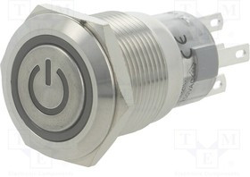 V19-21ET-24G-S, Переключатель: антивандальный, Пол: 2, SPDT, 0,5A/220ВAC, 1A/24ВDC