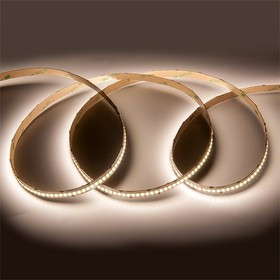 General Лента Светодиодная 5 метров 22Вт 24В SMD2835 10мм 1200 диодов 22 Лм/чип IP20 4500К Нейтральный белый свет 502241 GLS-2835-240-22-24- General Лента Светодиодная 5 метров 22Вт 24В SMD2835 10мм 1200 диодов 22 Лм/чип IP20 4500К Нейтральный белый свет 502241 GLS-2835-240-22-24-