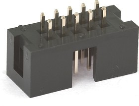 DS1013-10SSiB1-B-0, вилка на плату / BH-10 (DS1013-10SSiB1-B-0)