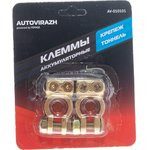 Клеммы АКБ + , - /латунь/ 2 . в блистере , компл AV-010101