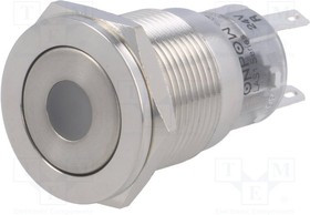 V19-21PFD-24R-S, Переключатель: антивандальный, Пол: 2, SPDT, 0,5A/220ВAC, 1A/24ВDC