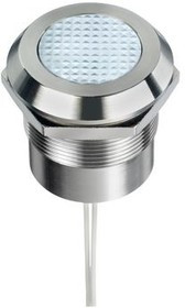 Q25Y5SXXW1AE, LED Indicator Q25 Series, Wire Lead, Fixed, White, AC / DC, 24V