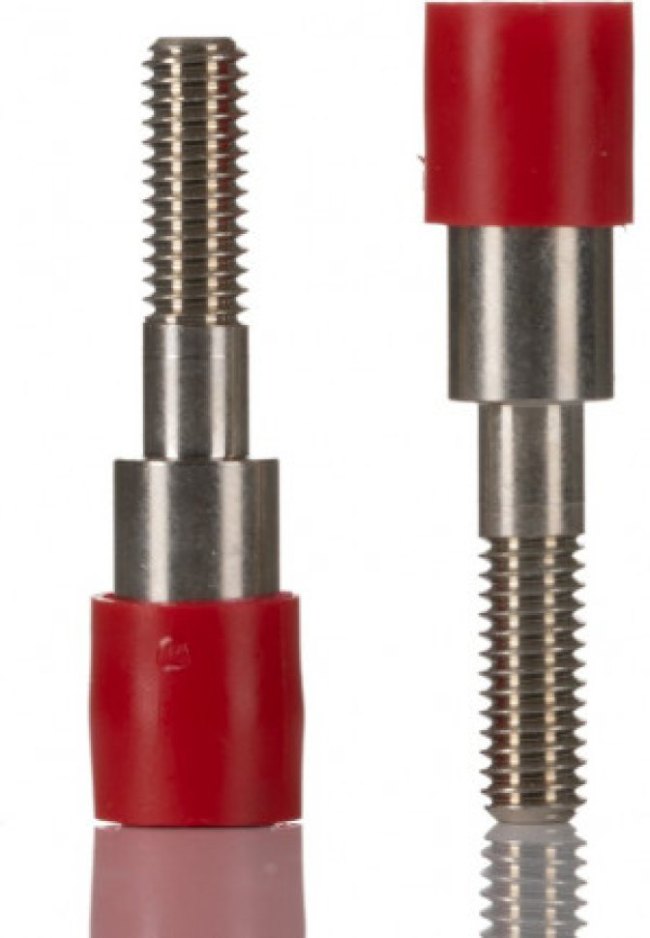 303325