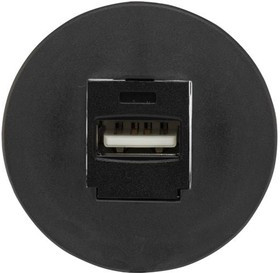 ISSP2BL, Modular Connectors / Ethernet Connectors 30.5mm BLACK NOTCHED SINGLE SERVICE PORT