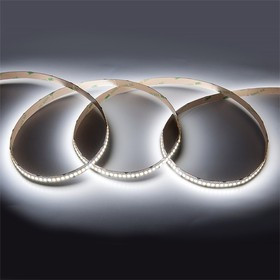 General Лента Светодиодная 5 метров 22Вт 24В SMD2835 10мм 1200 диодов 22 Лм/чип IP20 6500К Холодный белый свет 502240 GLS-2835-240-22-24-IP2 General Лента Светодиодная 5 метров 22Вт 24В SMD2835 10мм 1200 диодов 22 Лм/чип IP20 6500К Холодный белый свет 502240 GLS-2835-240-22-24-IP2