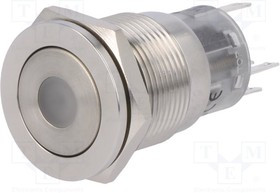 V19-21PFD-12R-S, Переключатель: антивандальный, Пол: 2, SPDT, 0,5A/220ВAC, 1A/24ВDC