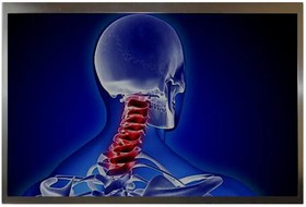 HDA1010W-GH, TFT Displays &amp; Accessories 10.1 IN TFT LCD WXGA 1280 X 800 1000 NIT