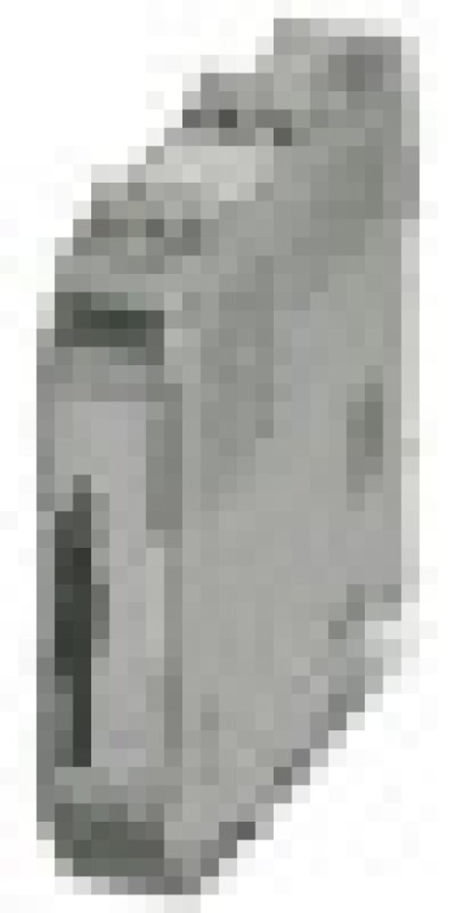 2906244
