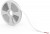 Лента Basic 12V 10W/m 700lm/m RGB IP20 LED 5m 1/100 BT055