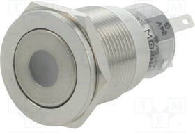 V19-21PFD-24G-S, Переключатель: антивандальный, Пол: 2, SPDT, 0,5A/220ВAC, 1A/24ВDC