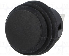 R13527A202BB, Переключатель: кнопочный, Пол: 2, DPST-NO, 6A/250ВAC, OFF-(ON)