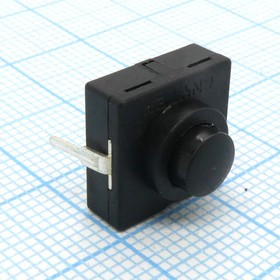 DS KAN-4A, 250V 1A с фиксацией 11*11 высота 5mm