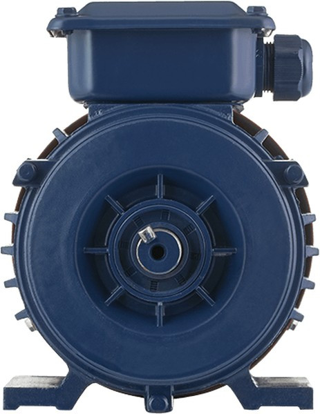 Электродвигатель АИР 90L6 IM1081 (1,5 кВт/1000 об/мин) Электродвигатель АИР 90L6 IM1081 (1,5 кВт/1000 об/мин)