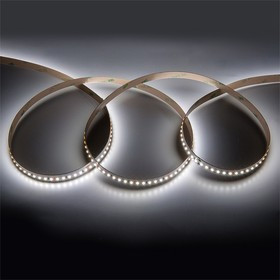 General Лента Светодиодная 5 метров 16Вт 24В SMD2216 10мм 900 диодов 16 Лм/чип IP20 4500К Нейтральный белый свет 502641 GLS-2216-180-16-24-I General Лента Светодиодная 5 метров 16Вт 24В SMD2216 10мм 900 диодов 16 Лм/чип IP20 4500К Нейтральный белый свет 502641 GLS-2216-180-16-24-I