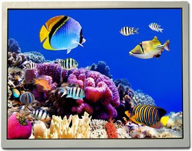 TCG104XGLPAPNN-AN40, TFT Displays &amp; Accessories 10.4" XGA TFT LCD 1024x768, 1300cd/m2