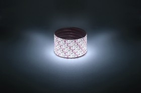 Светодиодная лента ЭРА LS2835 -9,6-120-12-6500K-IP65-1 year-5m Б0035599