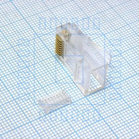 TP8P8C вилка (016) + вставка, RJ45