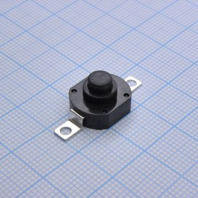 DS KAN-6A (8), 250V 1.5A с фиксацией 17*12 высота 10mm