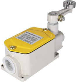 3SE31001G, ВЫКЛЮЧАТЕЛЬ ПУТЕВОЙ 3SE_100-1G РЫЧАГ С РОЛИКОМ