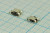 Гнездо micro USB, Тип B, угловое, 5 контактов, SMD на плату; №12765 гн microUSB \B\5C4HP\плат\угл\ SMD\microUSBB5SAD8\