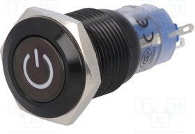 V16-11DT-12G-A, Переключатель: антивандальный, Пол: 2, SPDT, 0,5A/220ВAC, 1A/24ВDC