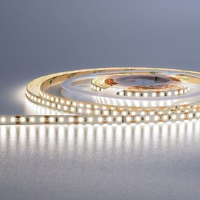 Светодиодная лента Decor SMD2835 12Вт 6500К 12В IP20 120led/m WLS2835-12W/ 6500/12H120-01