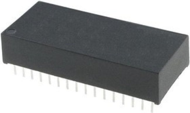 DS1250W-100+