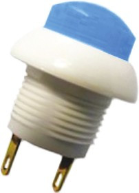 P9-213196, Push Button Switch, Momentary, Panel Mount, 12mm Cutout, DPDT, 28V dc, IP64
