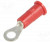 8209, Terminals RING TERM #6 22-18G