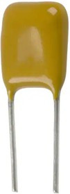 Ceramic Capacitor, 100pF, 100V, 5%