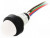 LRGB-D20-24AC/DCWK, Индикат.лампа: LED, выпуклый, 24ВDC, 24ВAC, Отв: d13мм, IP40