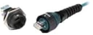 361017, Ethernet Cables / Networking Cables PL-1300EN-V CAT 5E PLUG STRANDED