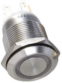 R19FFSSPAGRB24, Illuminated Push Button Switch, Momentary, Panel Mount, DPDT, Blue LED, IP65