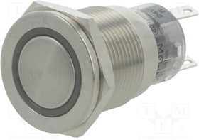 V19-21PFE-24R-S, Переключатель: антивандальный, Пол: 2, SPDT, 0,5A/220ВAC, 1A/24ВDC