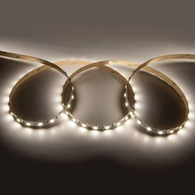 General Лента Светодиодная 5 метров 14,4Вт 12В SMD5050 5 метровм 300 диодов 12 Лм/чип IP20 4500К Нейтральный белый свет 503220 GLS-5050-60-1