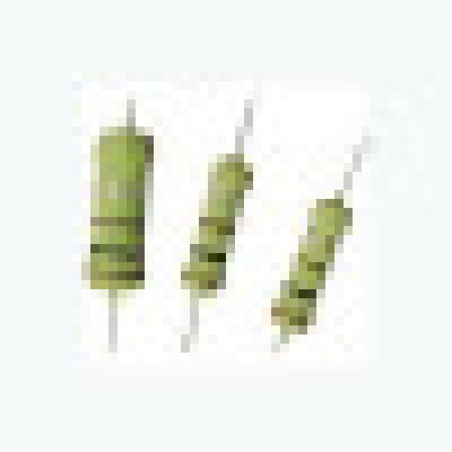 OX101KE, 100I 1W Resistor A±10%OX101KE