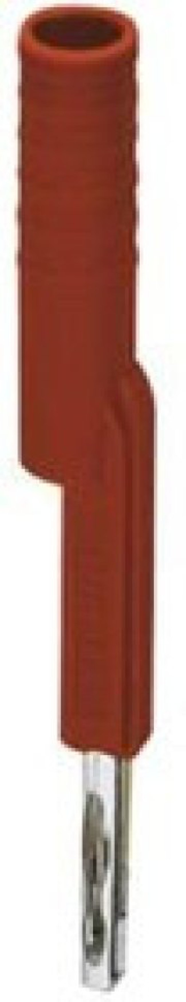 3035976