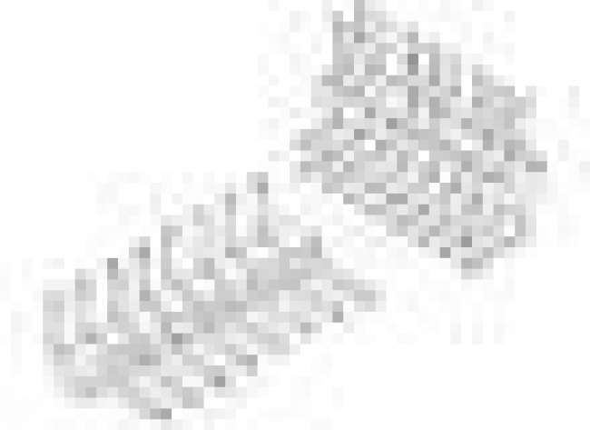 68021-220HLF