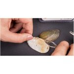 Неодимовый магнит - диск 3×2 мм (240 шт)