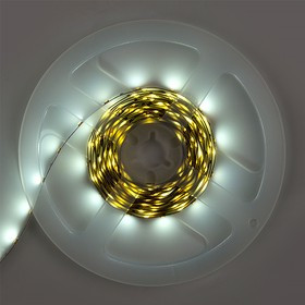 General Лента Светодиодная 3 метра с адаптером 4,8Вт 12В SMD2835 8мм 180 диодов 7 Лм/чип IP20 6500К Холодный белый свет 500421 GLS-2835-60-4