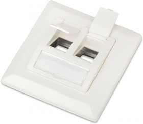 01 Рамка Hyperline, 80х80, для двух вставок формата Keystone Jack, пос. размер 60 мм, белая