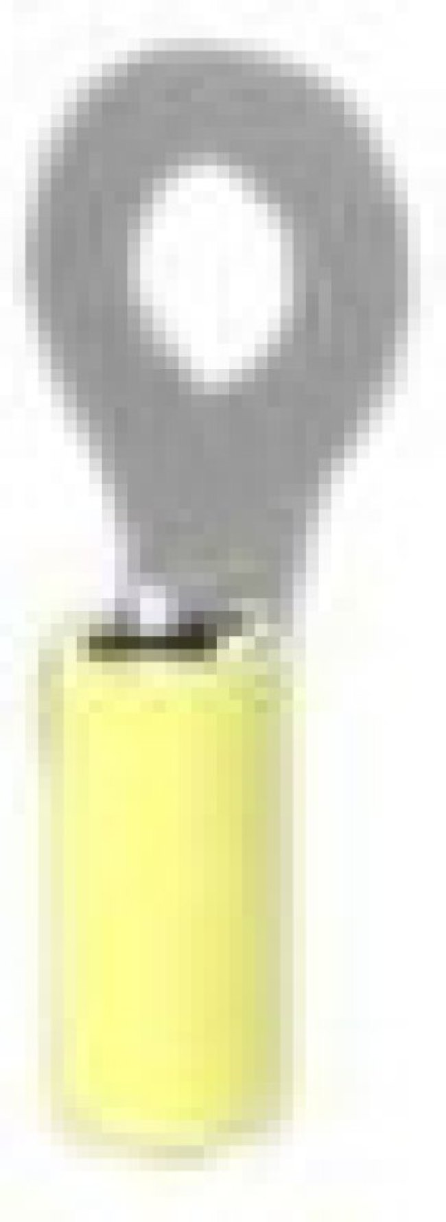 320569