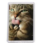 Акриловая заготовка для магнита Forceberg 52х77 мм, прозрачная, 10 шт.