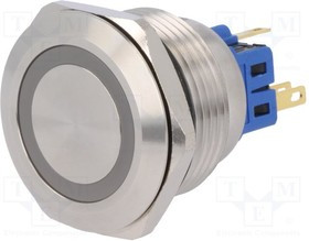 V28-21E-24B-S, Переключатель: антивандальный, Пол: 2, SPDT, 3A/220ВAC, 5A/24ВDC