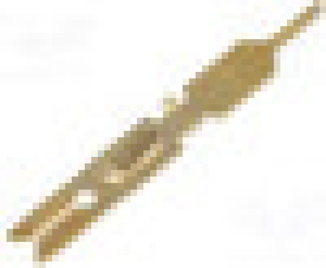 516-290-520, Rack & Panel Connectors CONTACT P.C. TAIL 516-290-520, Rack & Panel Connectors CONTACT P.C. TAIL