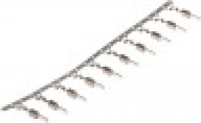 2-962915-1, AutomobIle Connectors
