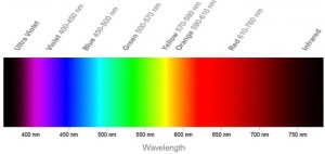 SML-LXL1206GC-TR, Standard LEDs - SMD Surface Mount LEDs